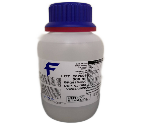 molecular grade ethanol